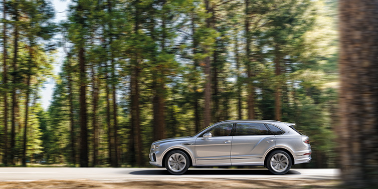 Bentley Berlin Bentley Bentayga Extended Wheelbase SUV in Moonbeam paint driving dynamically on a forest road